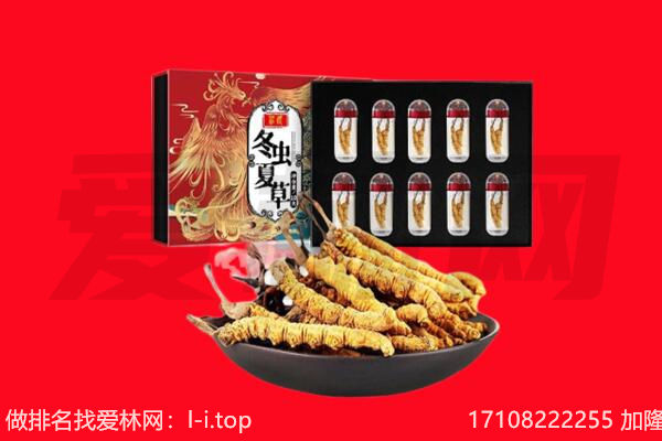 宁城县回收虫草.jpg